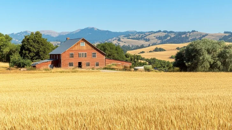 field with a barn